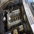 Alfa Romeo Spider 1600 Veloce 1980