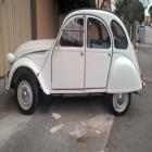 Citroen 2cv6 Special
