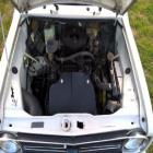 Austin Mini Clubman Estate 1981