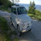 FIAT 500 GIARDINIERA SPECIFICHE D 1964