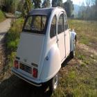Citroen 2cv6 Special